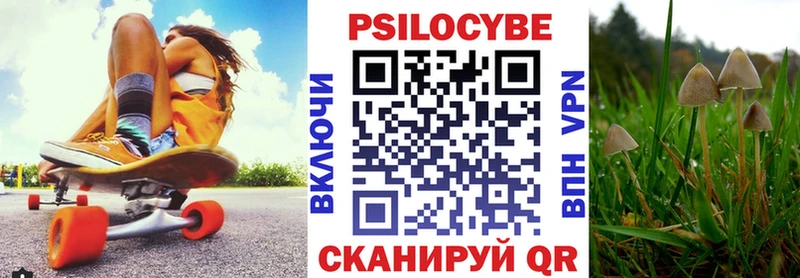 Купить закладки  Облучье  Псилоцибиновые грибы мухоморы 